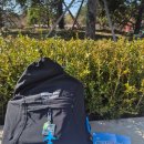 도쿄일렉트론 코리아 평택 | 💙2025 도쿄일렉트론코리아패밀리데이 후기 💙