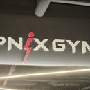 짐피닉스 | 대구 동성로필라테스 피닉스짐 24시헬스장 운동 후기