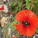 이지앤드림 이미지