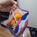 양주이화루 | 23년 1월 한달 일기 : 양주여행 강원도여행 설날까지