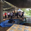 남열해돋이해수욕장 이미지