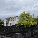 달떡볶이삼화점