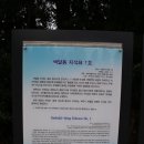 색달동지석묘 1호 이미지