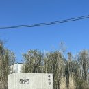 여여담2 이미지