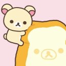 코로코로 네이버블로그