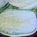 추광농장 이미지