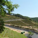 용인목장 이미지