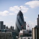 오이랜드 이미지