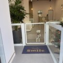 코코마리(coco mari) 이미지