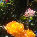 개화산 진입로 이미지