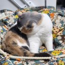 둥지세탁 이미지