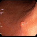 서울베스트의원 이미지