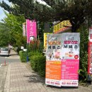 송강하나의원 이미지