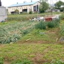 구암동161 이미지