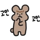 라니(RANI) 네이버블로그
