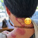 참좋은손안마원 이미지