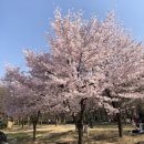 대한불교천태종대성사동해유치원 이미지