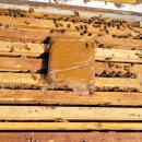 내검농장 이미지