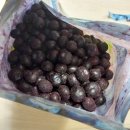 (주)웰팜 이미지