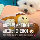 [서울 마포] 해피베어데이 합정 | 개밤티빵, 밤티말빵, 두바이 버터떡! 여자친구랑 데이트 코스 합정...