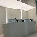신논현역 아도스컬트라 옆볼 후기