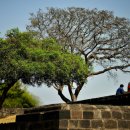 회동관광지 이미지