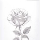 연필화(야간) 이미지