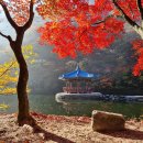 칠보농협하나로마트 이미지