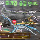 성주사 회귀형 숲길 이미지