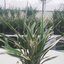 양평성모의원 이미지