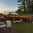 더포레스트하소로 이미지