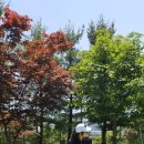 화산체육공원2 이미지