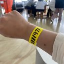 제주도 자운 스윔수트 게스트하우스 | 제주도 혼자여행코스 모슬포 숙박 스윔수트 게스트하우스/ 엘피 와인바 + M1971 돌고래 요트투어