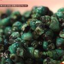 다슬기삼계탕 이미지