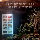 스시덴고쿠현대천 | 현대백화점 천호점 12층 식당가 리스트 크리스탈제이드 현대 천호점 천호현백 내돈내산 맛집