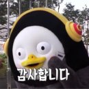 이지스모터스