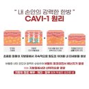 예쁘:제이뷰티