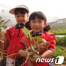 미륵산농장 이미지