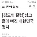 싱크홀에 빠진 대한민국 정치 이미지