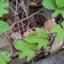 원전 벌바위 둘레길 이미지