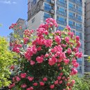 태릉입구역 8번출구 이미지