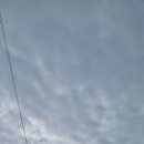 상사동로-11 이미지