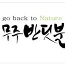 또리와 아로 이미지