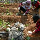 반월농장 이미지