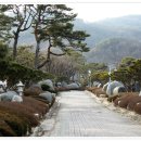 진입로 좌우측 이미지