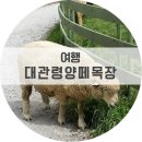 훈이목장 이미지