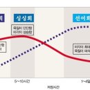 차리온