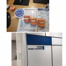 참한이치과의원 이미지