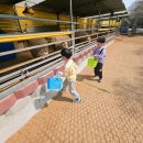 한우드림제2농장 이미지