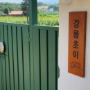 강릉초이 이미지